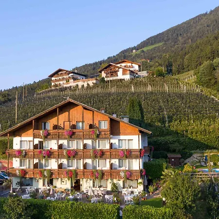 Panorama Hotel St Georgen-3